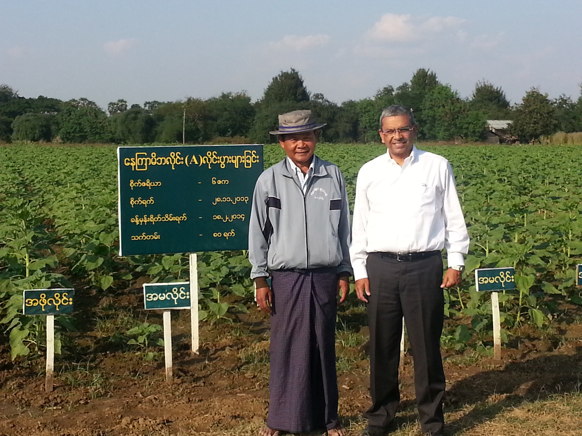 With sunflower farmers and government officials in remote Myanmar